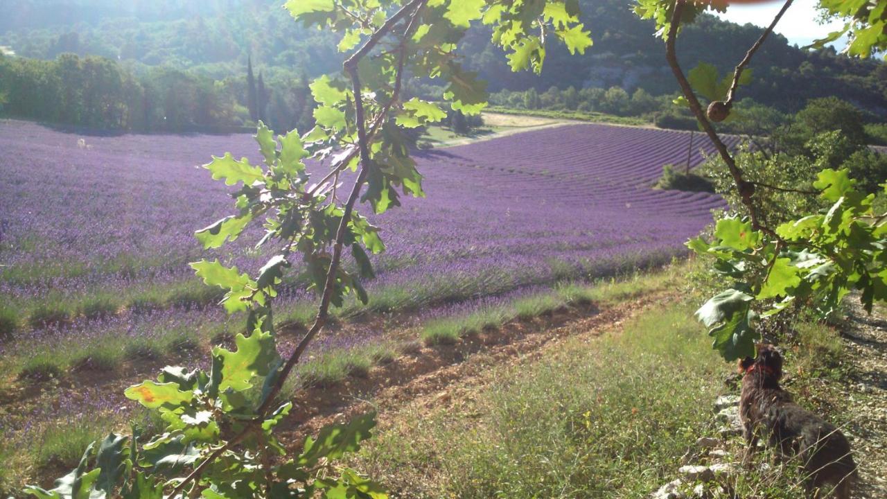 Les Vallons Holiday Home Lioux Exteriör bild